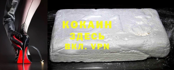 твердый Няндома