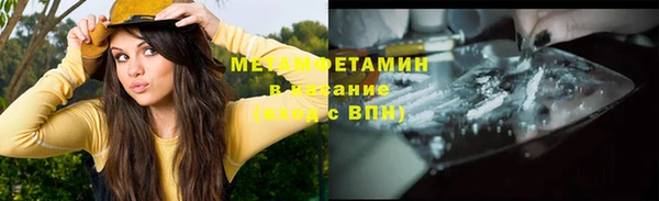 стаф Туринск
