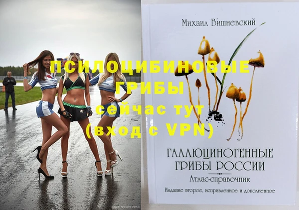 твердый Няндома