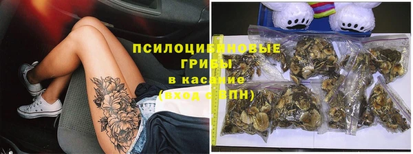 бошки Нязепетровск