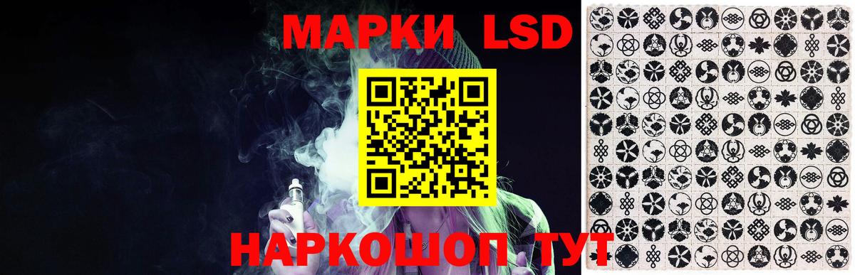 МЕФ Курчалой