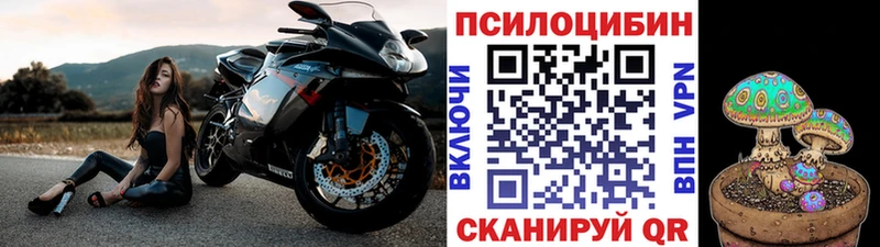 Галлюциногенные грибы ЛСД  Курчалой 