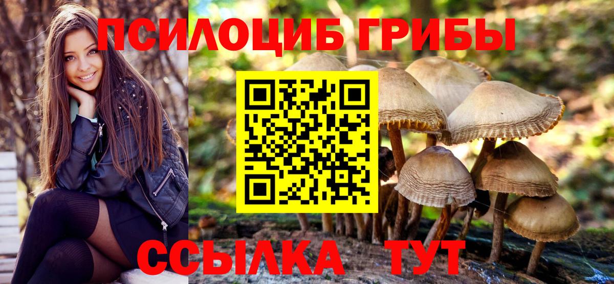 Псилоцибиновые грибы мухоморы  Вход с VPN  Курчалой 