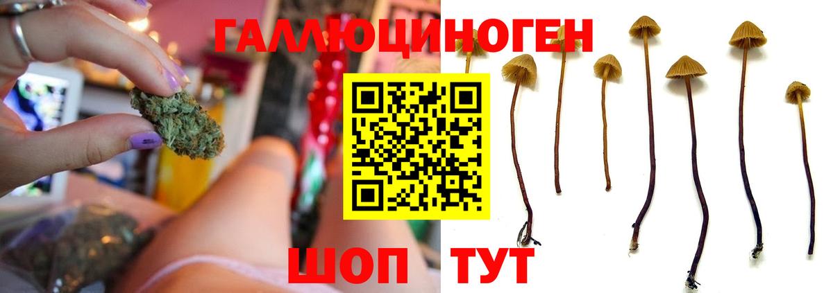 Меф МЯУ МЯУ кристаллы  COCAIN  Codein  ЭКСТАЗИ  Курчалой  Гашиш  LSD-25  ГАШ  Где купить  А ПВП СОЛЬ кристаллы  МЕТ  Конопля  Бошки Шишки  МЕТАДОН 