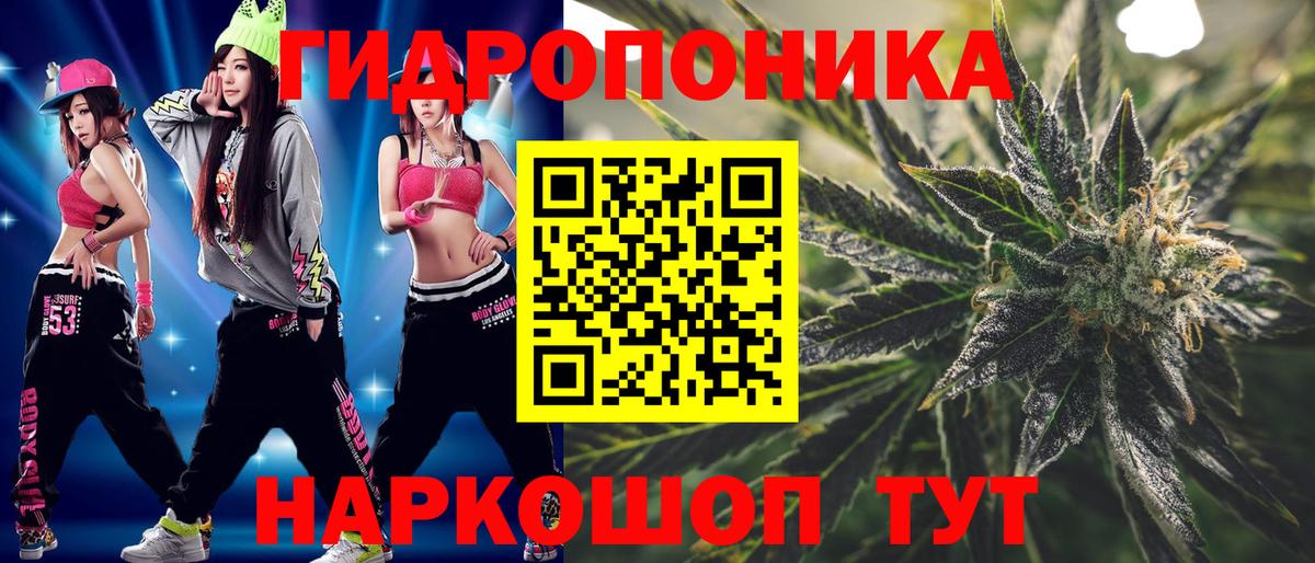 Каннабис план  Курчалой  Бошки марихуана AK-47 